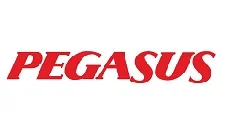 pegasus - İşim İçin Seyahat iş ortağı